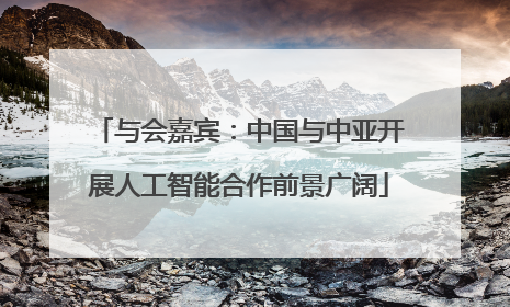 与会嘉宾：中国与中亚开展人工智能合作前景广阔