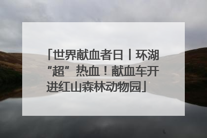 世界献血者日丨环湖“超”热血！献血车开进红山森林动物园