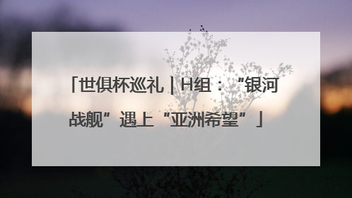世俱杯巡礼｜H组：“银河战舰”遇上“亚洲希望”