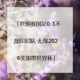 世预赛国足0-1不敌印尼队 无缘2026美加墨世界杯