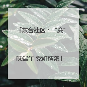 东台社区：“廉”味端午 党群情浓