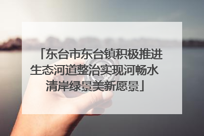 东台市东台镇积极推进生态河道整治实现河畅水清岸绿景美新愿景