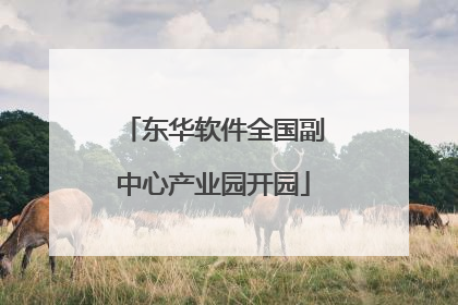 东华软件全国副中心产业园开园