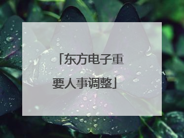 东方电子重要人事调整