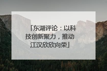 东湖评论：以科技创新聚力，推动江汉欣欣向荣