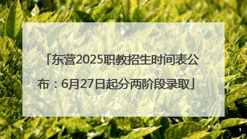 东营2025职教招生时间表公布：6月27日起分两阶段录取