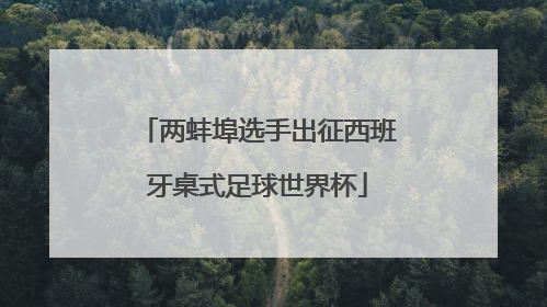 两蚌埠选手出征西班牙桌式足球世界杯