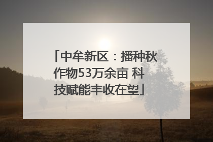 中牟新区：播种秋作物53万余亩 科技赋能丰收在望