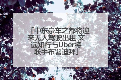 中东豪车之都将迎来无人驾驶出租 文远知行与Uber将联手布署迪拜