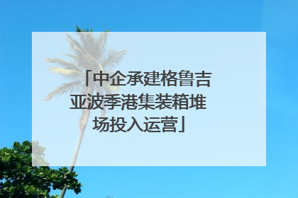 中企承建格鲁吉亚波季港集装箱堆场投入运营