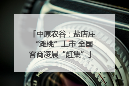 中原农谷：盐店庄“滩桃”上市 全国客商凌晨“赶集”