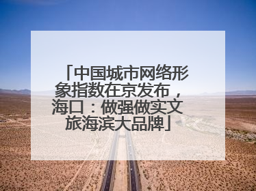 中国城市网络形象指数在京发布，海口：做强做实文旅海滨大品牌