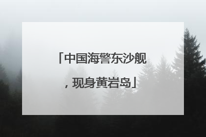 中国海警东沙舰，现身黄岩岛