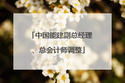 中国能建副总经理、总会计师调整