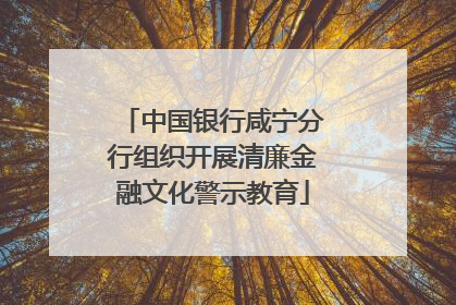 中国银行咸宁分行组织开展清廉金融文化警示教育