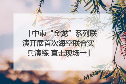 中柬“金龙”系列联演开展首次海空联合实兵演练 直击现场→