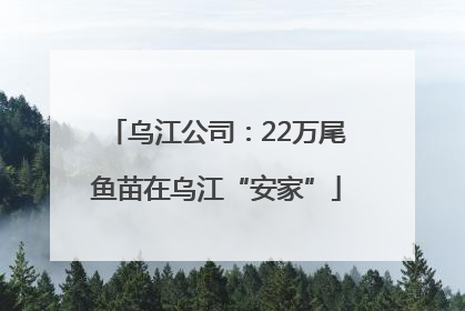 乌江公司：22万尾鱼苗在乌江“安家”