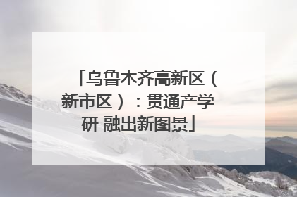 乌鲁木齐高新区（新市区）：贯通产学研 融出新图景