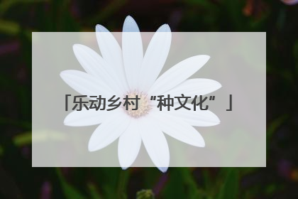 乐动乡村“种文化”