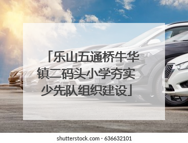 乐山五通桥牛华镇二码头小学夯实少先队组织建设
