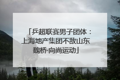 乒超联赛男子团体：上海地产集团不敌山东魏桥·向尚运动