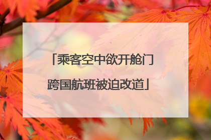 乘客空中欲开舱门 跨国航班被迫改道