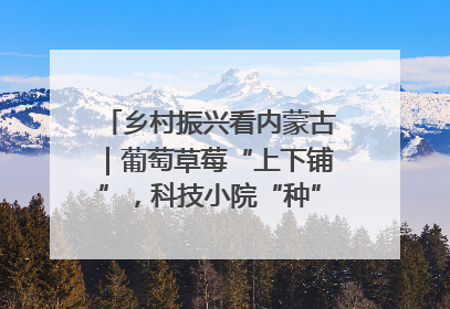 乡村振兴看内蒙古｜葡萄草莓“上下铺”，科技小院“种”出三倍效益