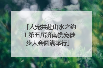 人宠共赴山水之约！第五届济南携宠徒步大会圆满举行
