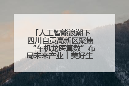 人工智能浪潮下 四川自贡高新区聚焦“车机龙医算数”布局未来产业丨美好生活有“盐”味