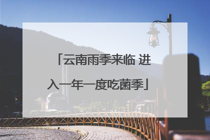 云南雨季来临 进入一年一度吃菌季