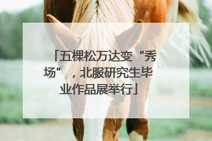 五棵松万达变“秀场”，北服研究生毕业作品展举行