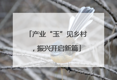 产业“玉”见乡村，振兴开启新篇