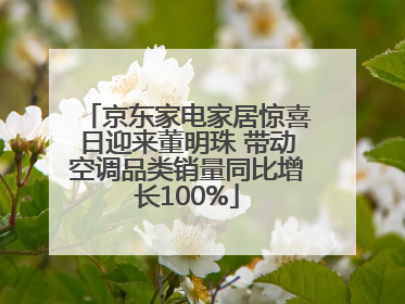 京东家电家居惊喜日迎来董明珠 带动空调品类销量同比增长100%