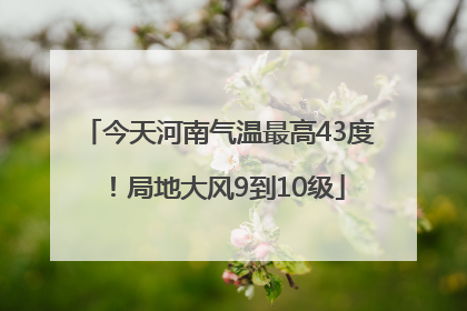 今天河南气温最高43度！局地大风9到10级