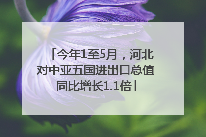 今年1至5月，河北对中亚五国进出口总值同比增长1.1倍