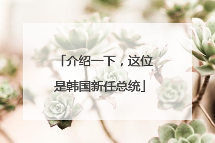 介绍一下，这位是韩国新任总统