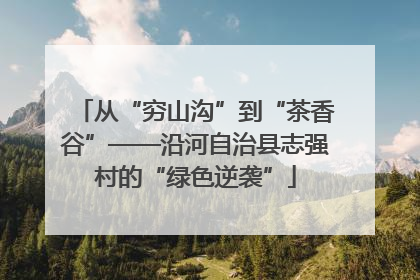 从“穷山沟”到“茶香谷”——沿河自治县志强村的“绿色逆袭”