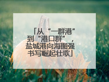 从“一群港”到“港口群”，盐城港向海图强书写崛起壮歌