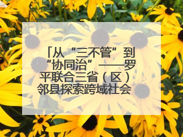 从“三不管”到“协同治”——罗平联合三省（区）邻县探索跨域社会治理新模式