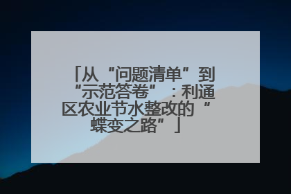从“问题清单”到“示范答卷”：利通区农业节水整改的“蝶变之路”