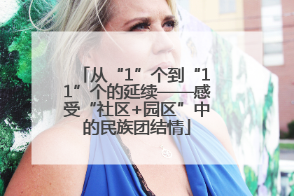 从“1”个到“11”个的延续——感受“社区+园区”中的民族团结情