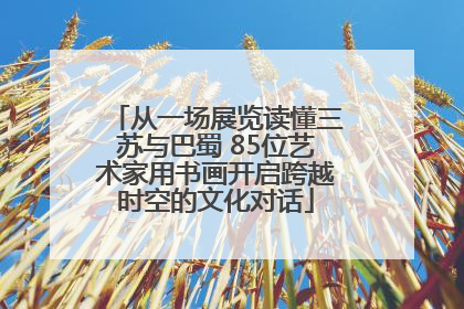 从一场展览读懂三苏与巴蜀 85位艺术家用书画开启跨越时空的文化对话