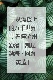 从海瓷上的万千世界，看懂滨州浪漫｜潮起渤海・网聚黄蓝