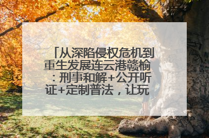 从深陷侵权危机到重生发展连云港赣榆：刑事和解+公开听证+定制普法，让玩具公司回到正轨