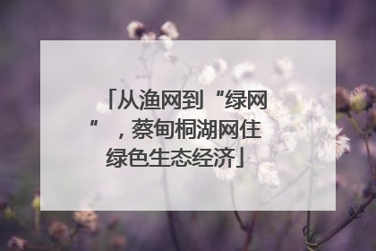 从渔网到“绿网”，蔡甸桐湖网住绿色生态经济
