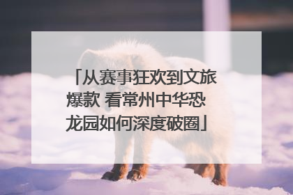 从赛事狂欢到文旅爆款 看常州中华恐龙园如何深度破圈