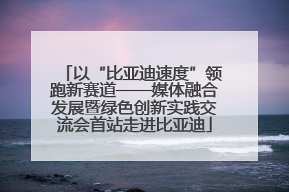 以“比亚迪速度”领跑新赛道——媒体融合发展暨绿色创新实践交流会首站走进比亚迪