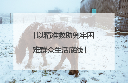 以精准救助兜牢困难群众生活底线
