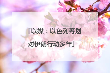 以媒：以色列筹划对伊朗行动多年
