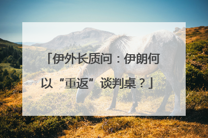 伊外长质问：伊朗何以“重返”谈判桌？